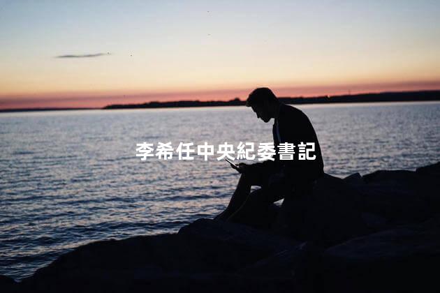 李希任中央紀委書記